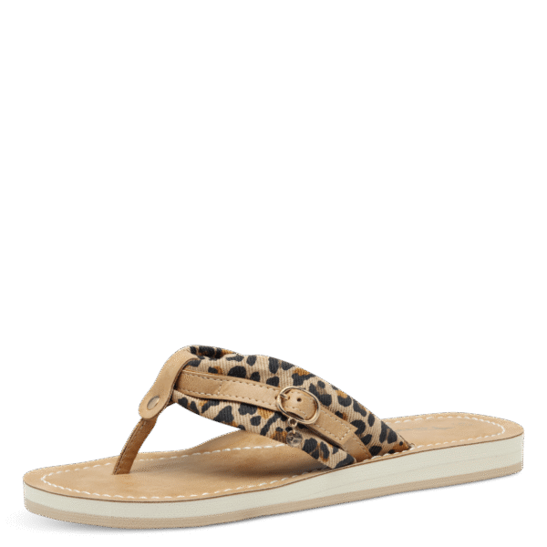 Slipper Leopard 360